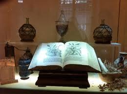 Agrisando, lo que nos arropó.