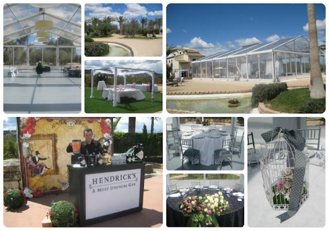 Te concedo 3 deseos - Día 2 #TC3D