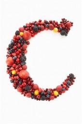 Como dar vitamina C a tu perro sin temor a equivocarte