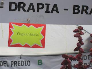 Día del inmigrante Calabres