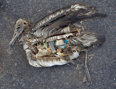 El día de la basura