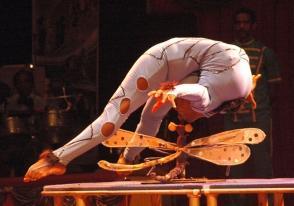 La contorsionista Digna, Mención especial de Circuba 2009. Foto: Kaloian Santos Cabrera / JR