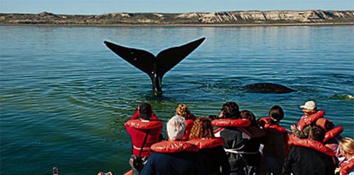 5 destinos para conocer en Puerto Madryn