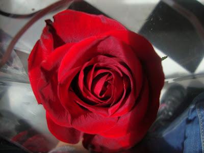 Ruta paralela en St. Jordi 2012