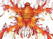 ‘Zooilógico’: original seres mitoilógicos