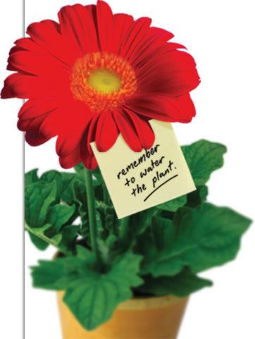 Evaluarán un medicamento para detener el Alzheimer antes de la demencia