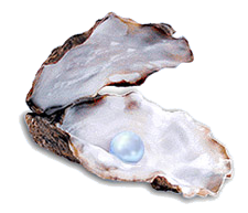 Perlas: tipos, características y consejos de conservación