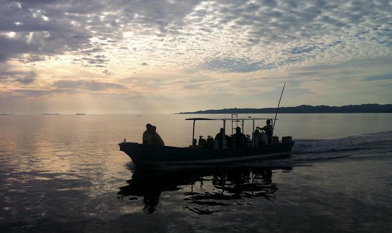 Raja Ampat, Día Dos - Buceo en la isla de Kri