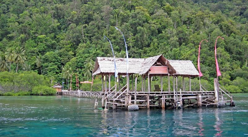 Raja Ampat, Día Dos - Buceo en la isla de Kri