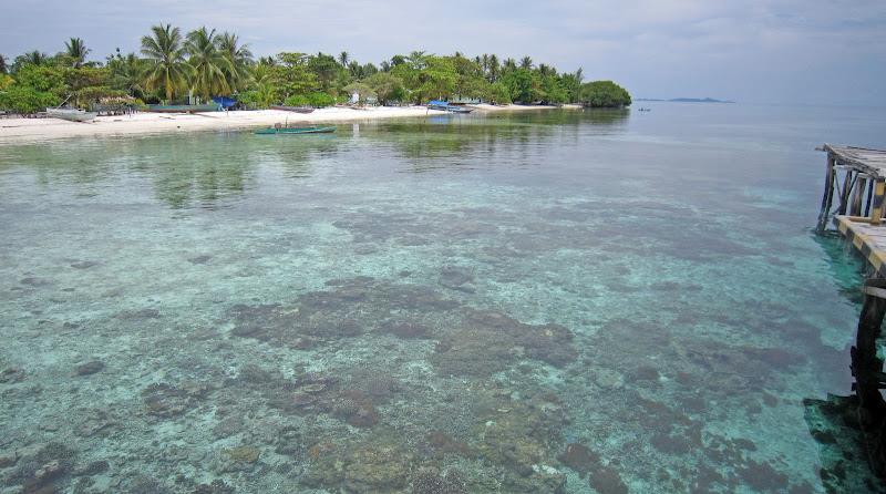 Raja Ampat, Día Dos - Buceo en la isla de Kri