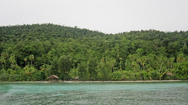 Raja Ampat, Día Dos - Buceo en la isla de Kri