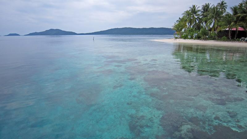 Raja Ampat, Día Dos - Buceo en la isla de Kri