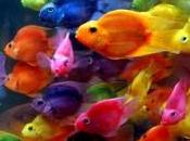 ¡Agua tierra!