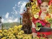 Fiesta Flor, Madeira.