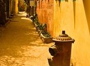 isla Gorée. historia Repite