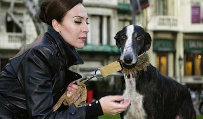 MONICA NARANJO y los GALGOS.
