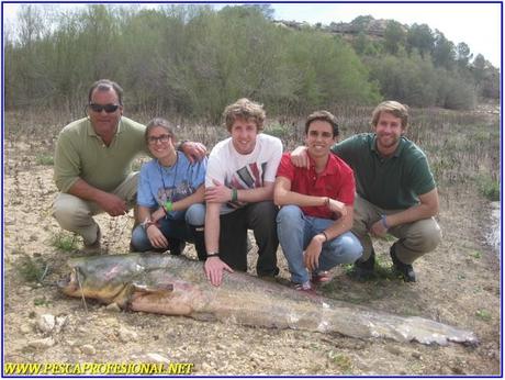 GUIAS DE PESCA SILUROS AL LANZADO SILUROS AL LANZADO