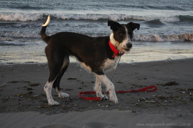 Madryn, con “M” de Mar