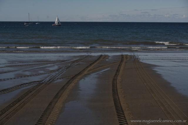 Madryn, con “M” de Mar