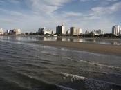 Madryn,