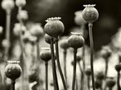 dónde salir dinero?. Pues dependerá queramos