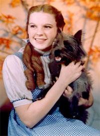 El arco iris de Hollywood, Judy Garland (1922-1969)