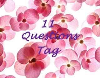 11 questions tag