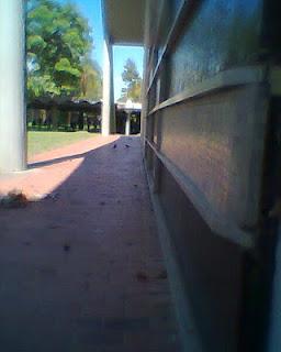 imagino