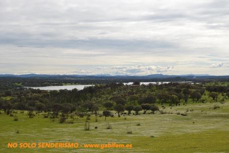 Os segredos de Ferreira