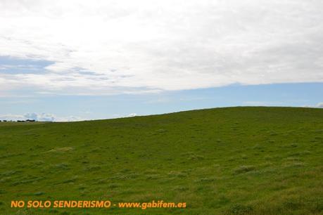 Os segredos de Ferreira