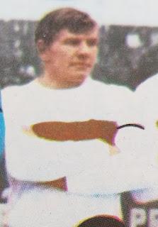 Alfredo Domingo Trimarchi