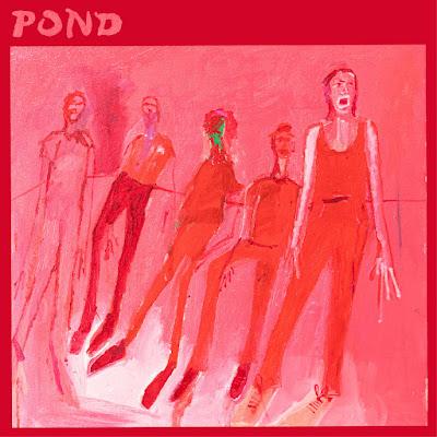 Pond - Terrestrials (2026)