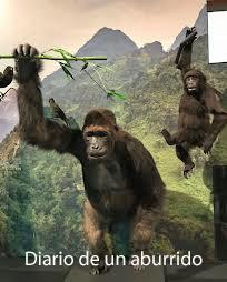 Agujeros negros Agujeros negros
