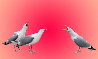 LA INDIGNACIÓN SELECTIVA