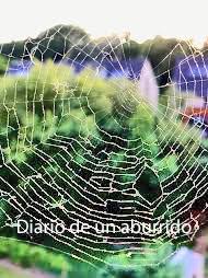 Agujeros negros Agujeros negros