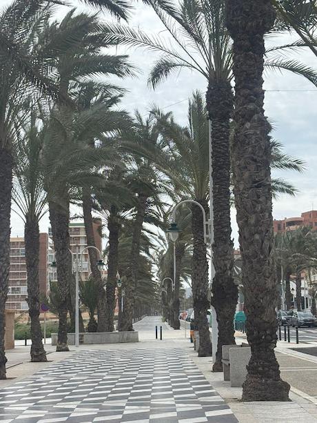 Los Arenales del Sol