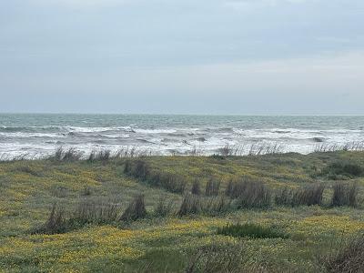 Los Arenales del Sol