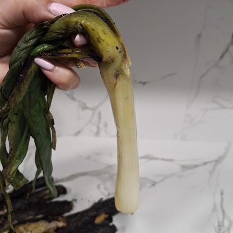 Tortilla de Calçots a la brasa en su salsa