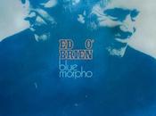 O'Brien Blue morpho (2026)
