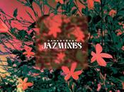 Canastéreo: 'jazmines'