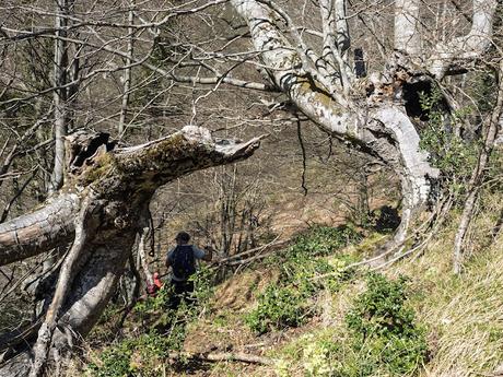 La Forcada y el Cuetu Santibánes (Cuchu) desde Pelluno