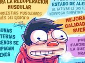 Datos curiosidades