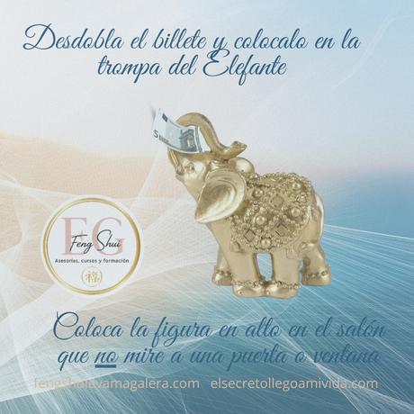 💵🐘Ritual del Elefante para la Abundancia 🐘