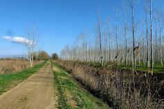 Acequia de Sils y camino para pasear andando o en bicicleta