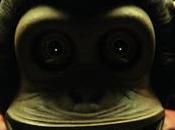 Monkey 2025