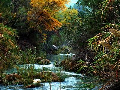 Encomedio de tanta hermosura