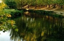 Encomedio de tanta hermosura