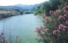 Encomedio de tanta hermosura