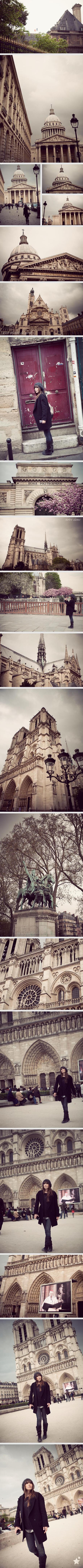 amazing notre dame