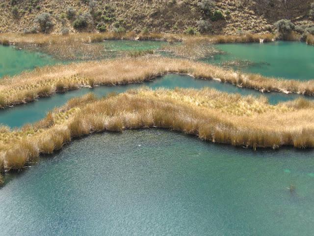 VILCA: DE NUEVO EN LOS PARAISOS DEL AGUA